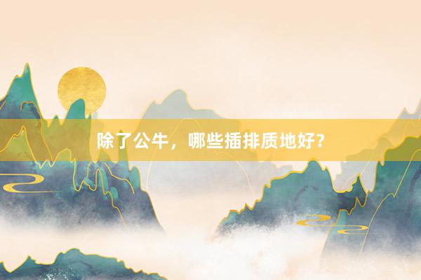 除了公牛，哪些插排质地好？