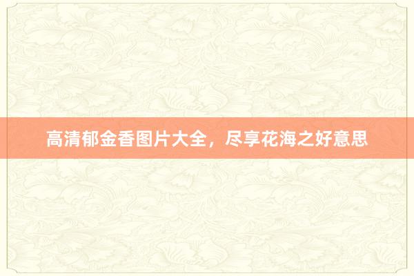 高清郁金香图片大全，尽享花海之好意思