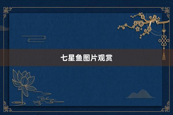 七星鱼图片观赏